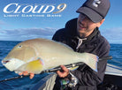 Oceans Legacy Cloud 9 Light Casting Game fishing rod for soft plastics and stickbaits
