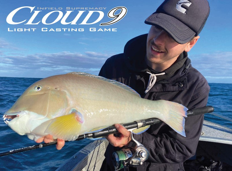 Oceans Legacy Cloud 9 Light Casting Game fishing rod for soft plastics and stickbaits