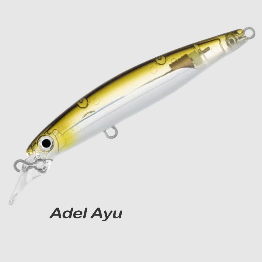Daiwa Infeet Sazanami 60SP Adel Ayu