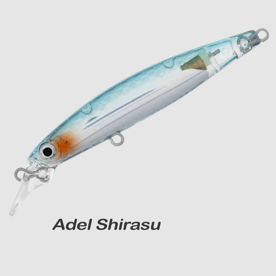 Daiwa Infeet Sazanami 60SP Adel Shirasu