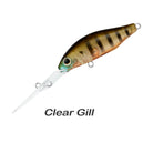Daiwa Infeet Spike 44 EXDR Clear Gill