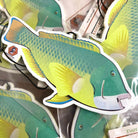 EXPDTN Skindiver Supply Co Air Freshener 