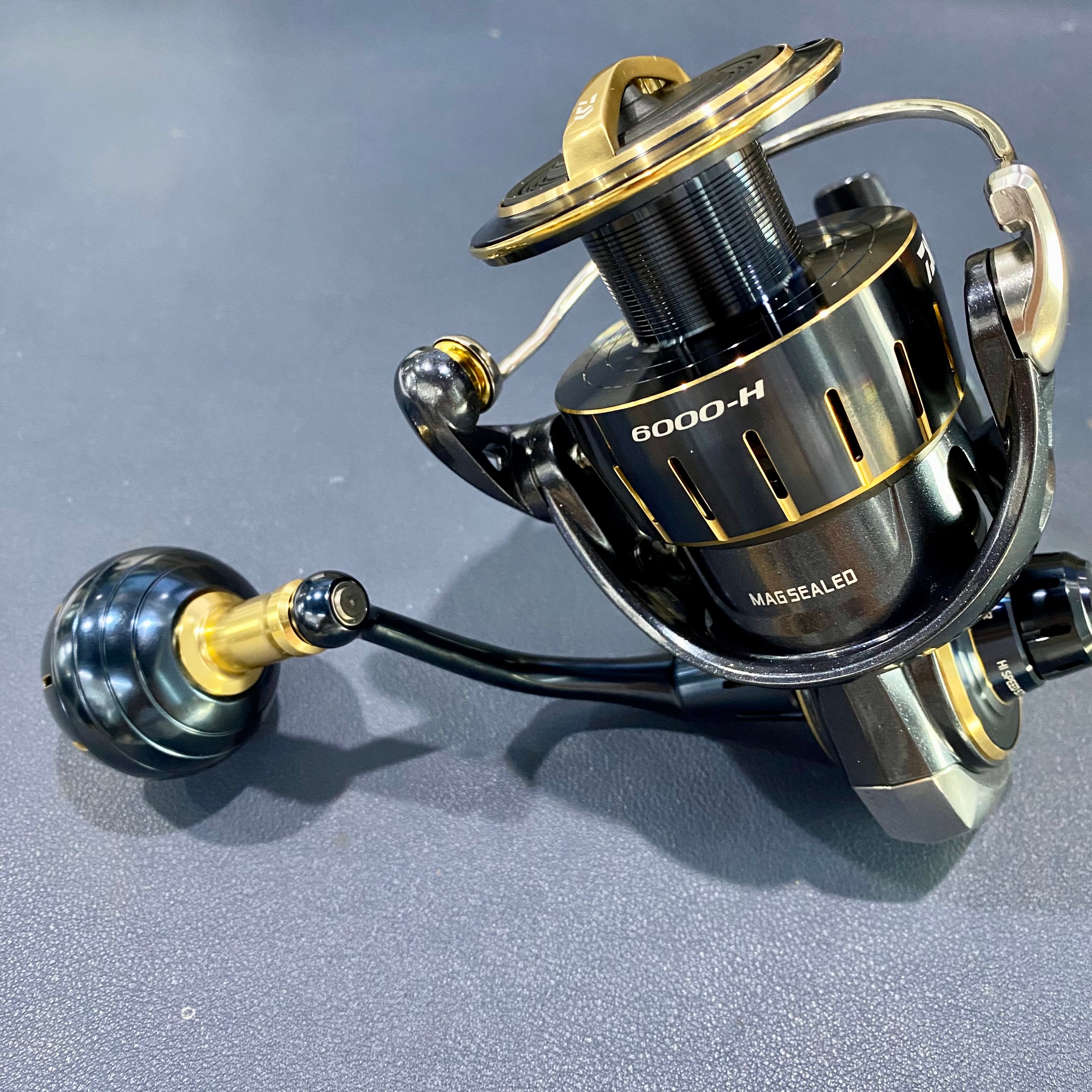 Daiwa 2023 Saltiga 6000H