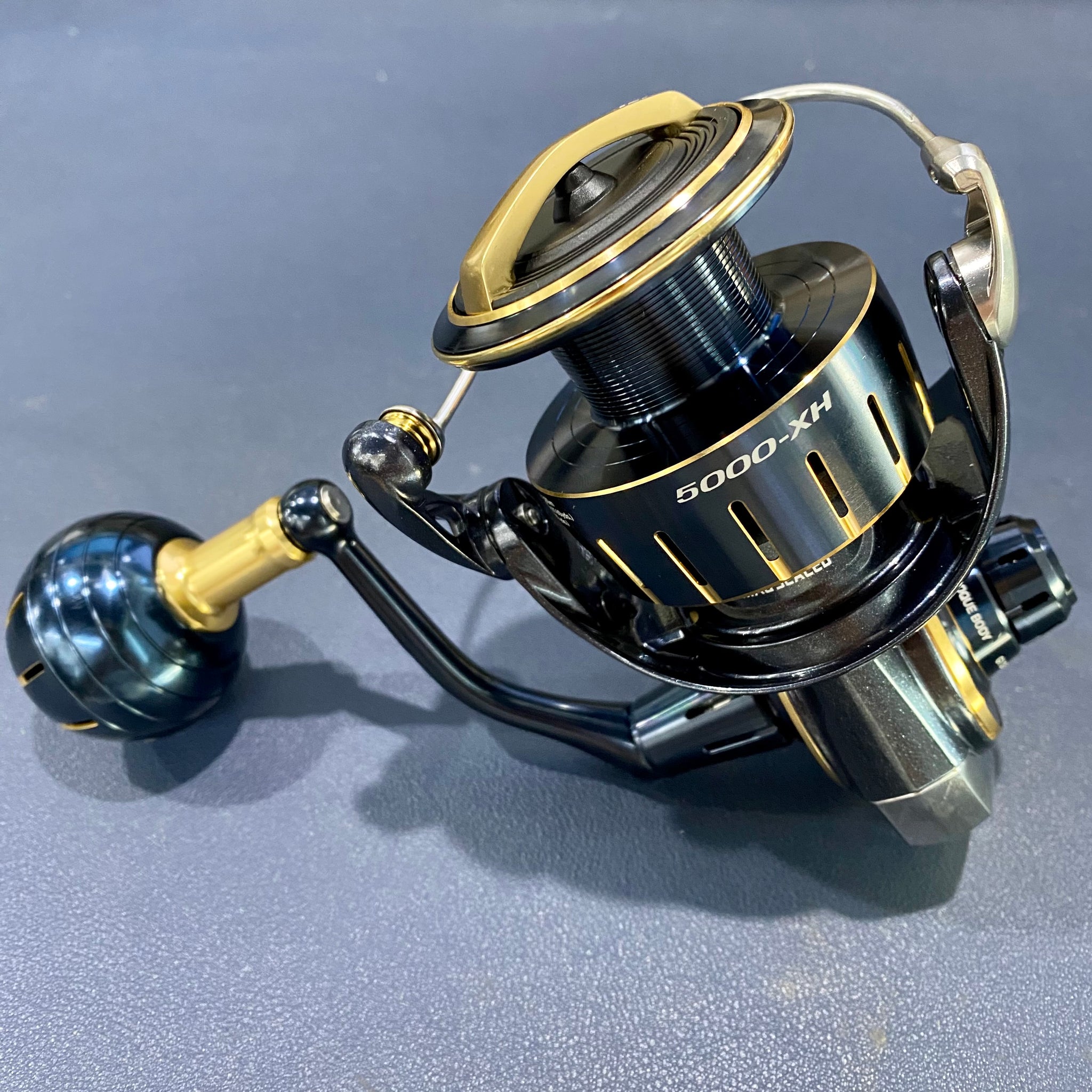 New Saltiga 23 reel, small size and high power