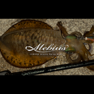 Yamaga Blanks Mebius Egi Squid Rod