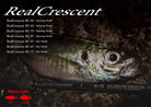 Ripple Fisher Real Crescent