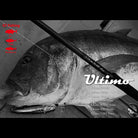 Ripple Fisher Ultimo 2019 Cover