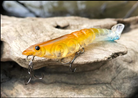MMD Splash Prawn 70mm