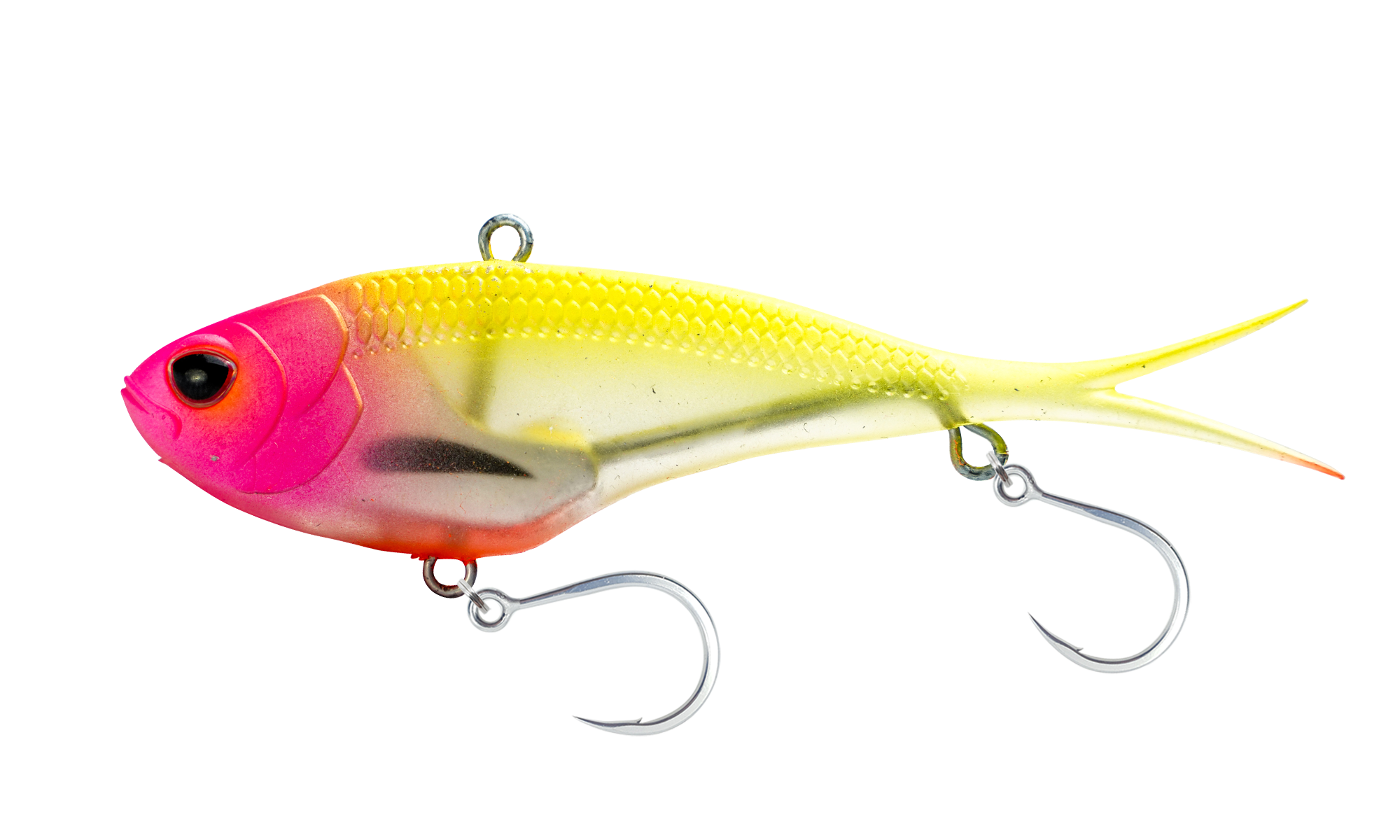 Nomad Vertrex Max 150 Vibe DB Disco Bits