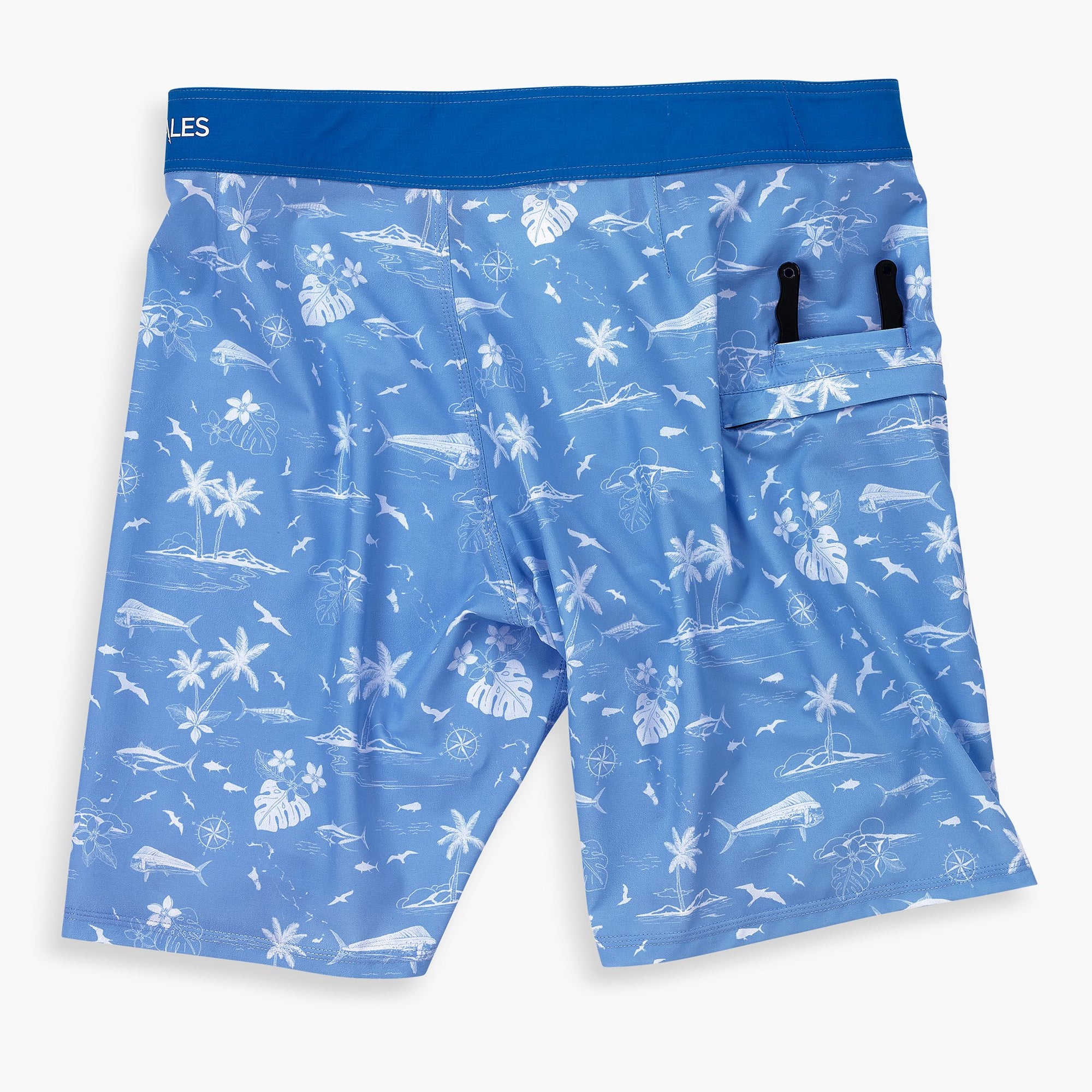 Scales Gear Never A Tourist Boardshorts